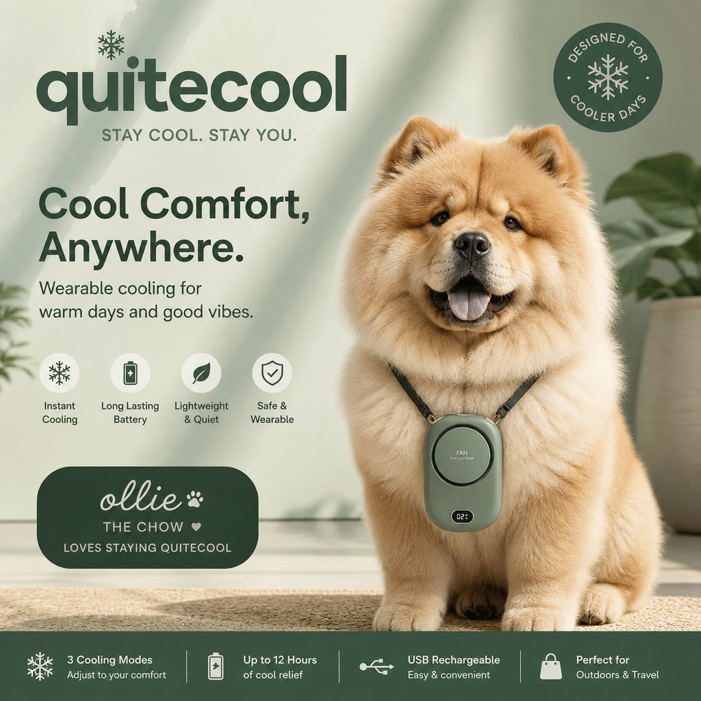 Chow Chow dog wearing a portable bladeless neck fan outdoors - cool comfort anywhere